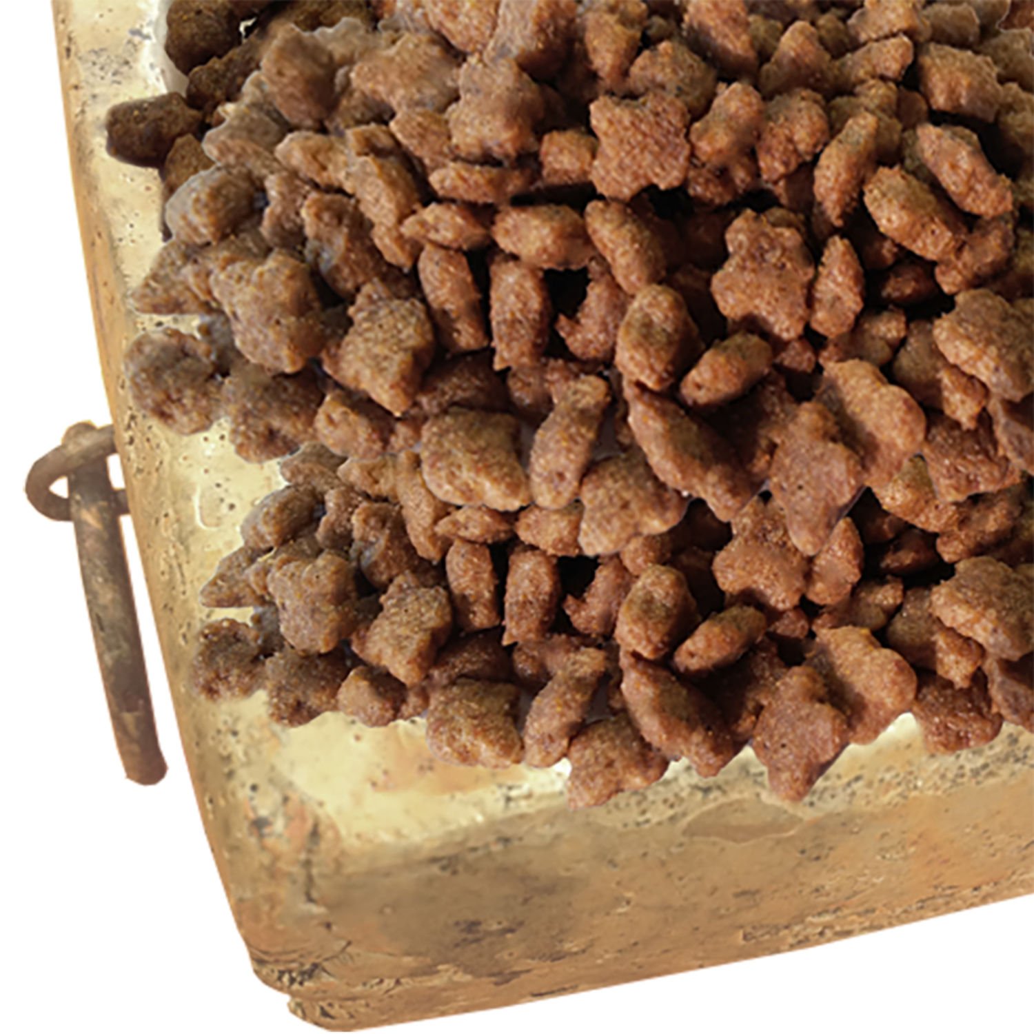 내추럴 그레이트니스 캣 와일드 인스팅트 2kg