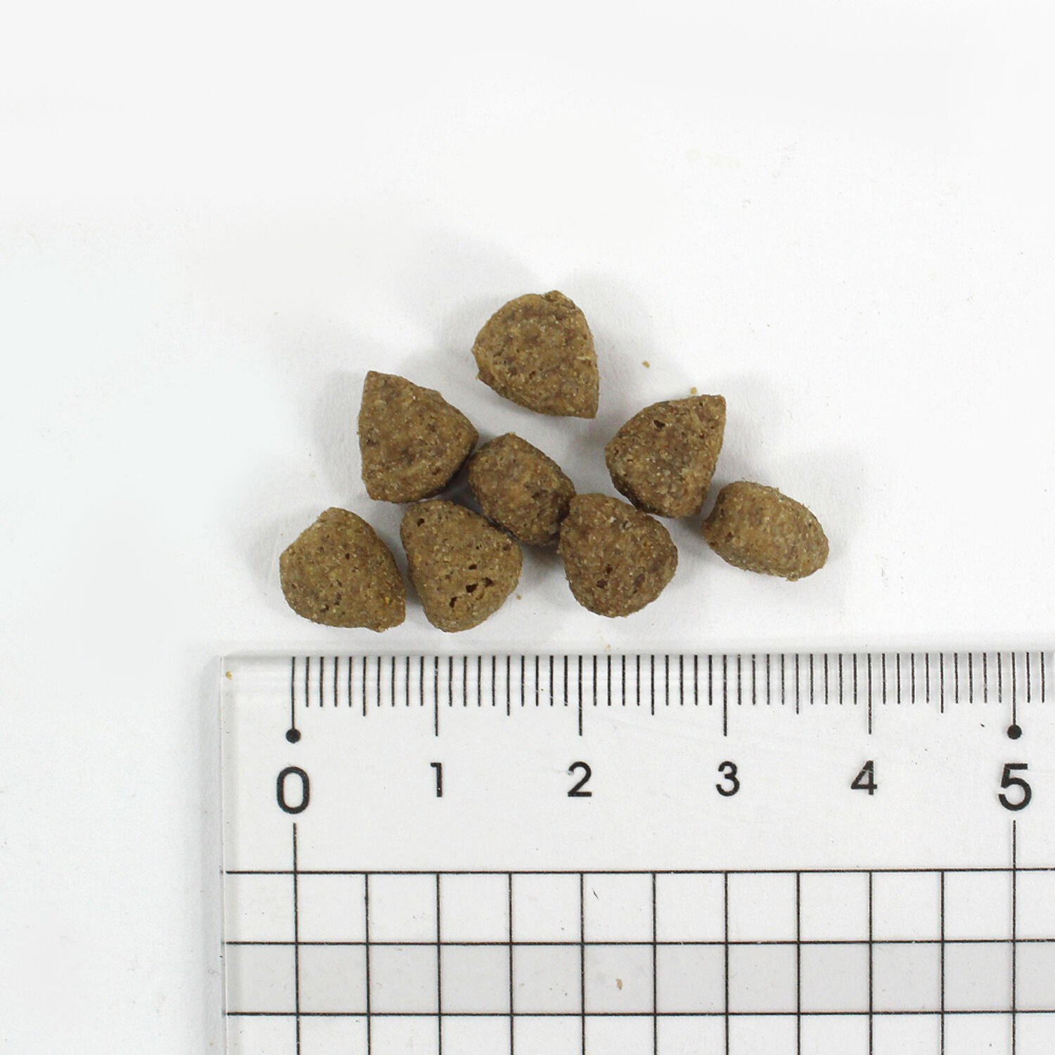 암브로시아 캣 칠면조&청어 5kg - 유통기한 2025.10