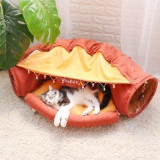 힐링타임 숨숨집 재즈바