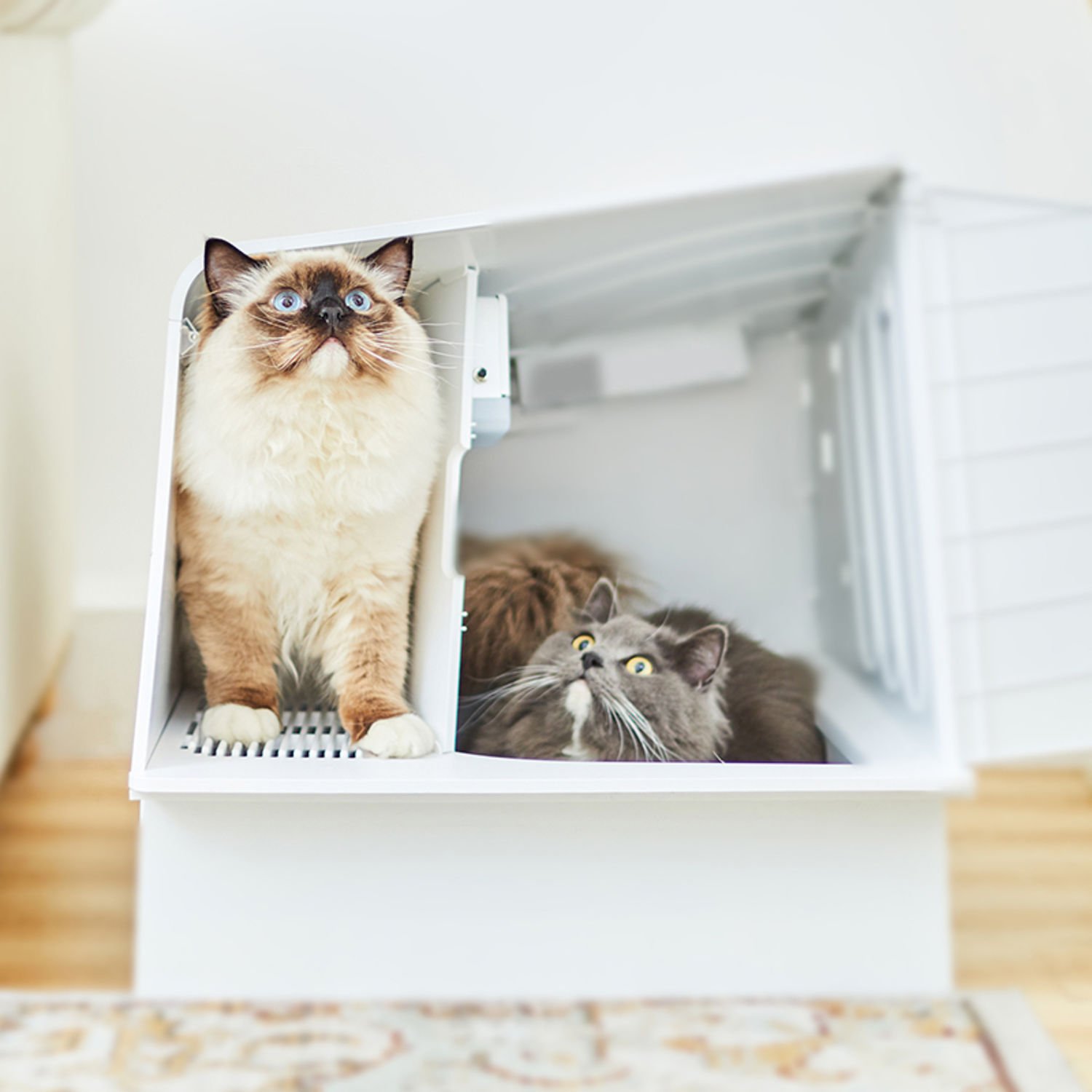 펫킷 화이트 빌라 화장실