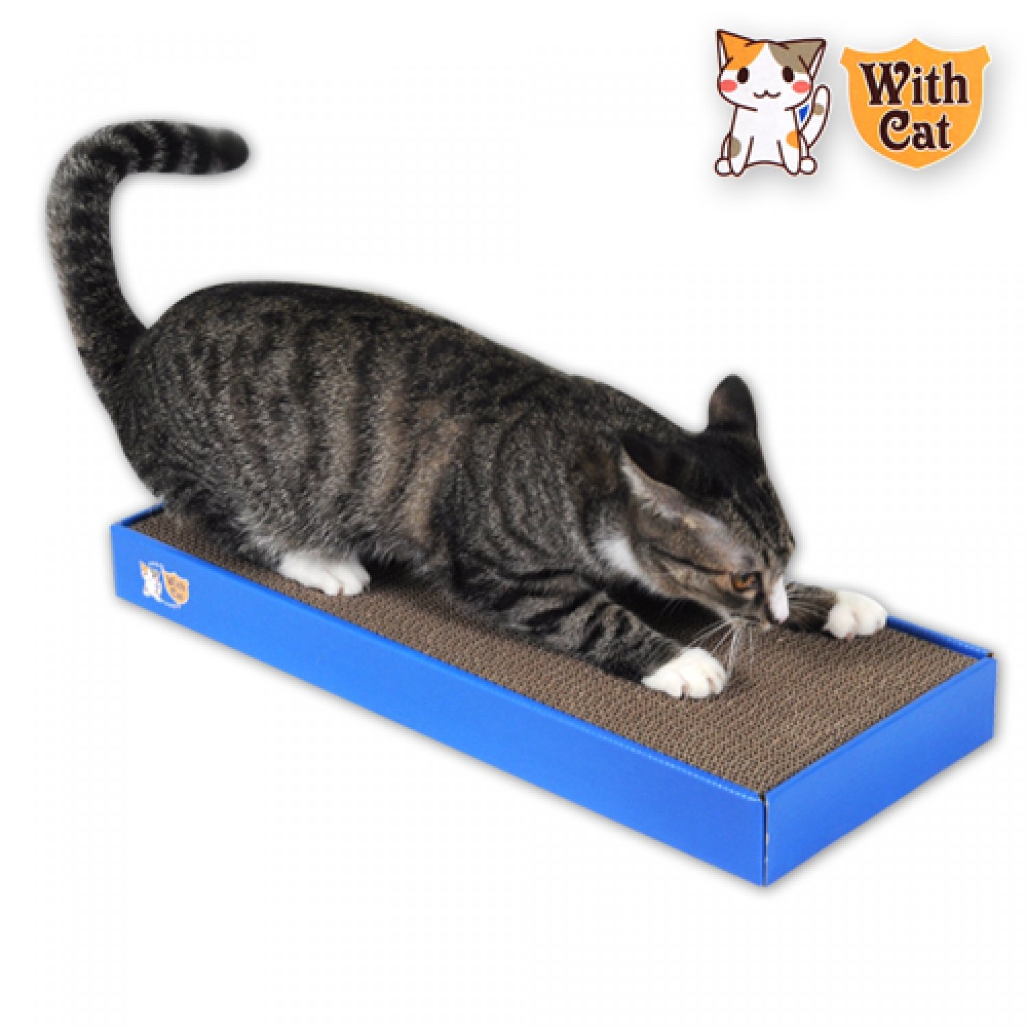 위드캣 평판 스크래쳐