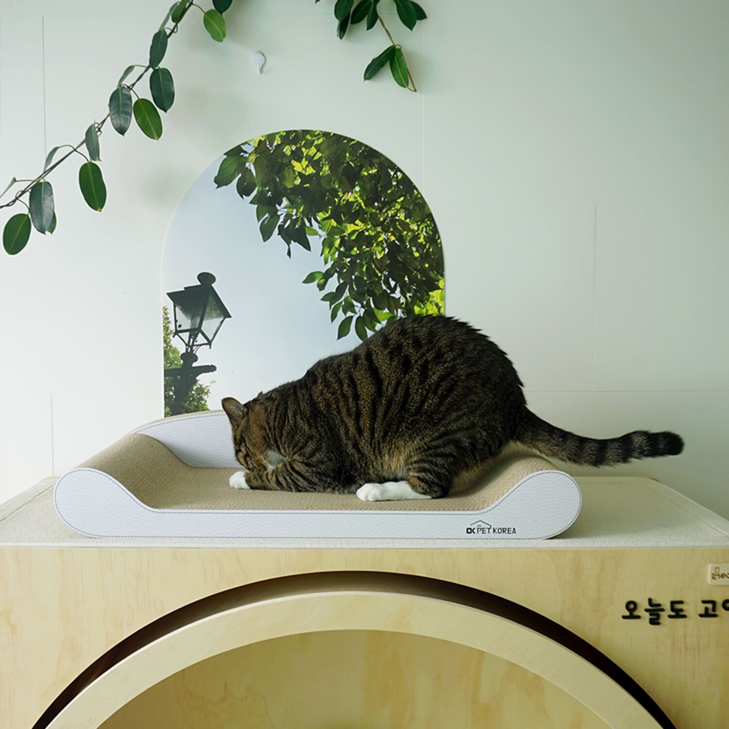 오케이펫코리아 고양이 스크래쳐 700RWD 2개 세트