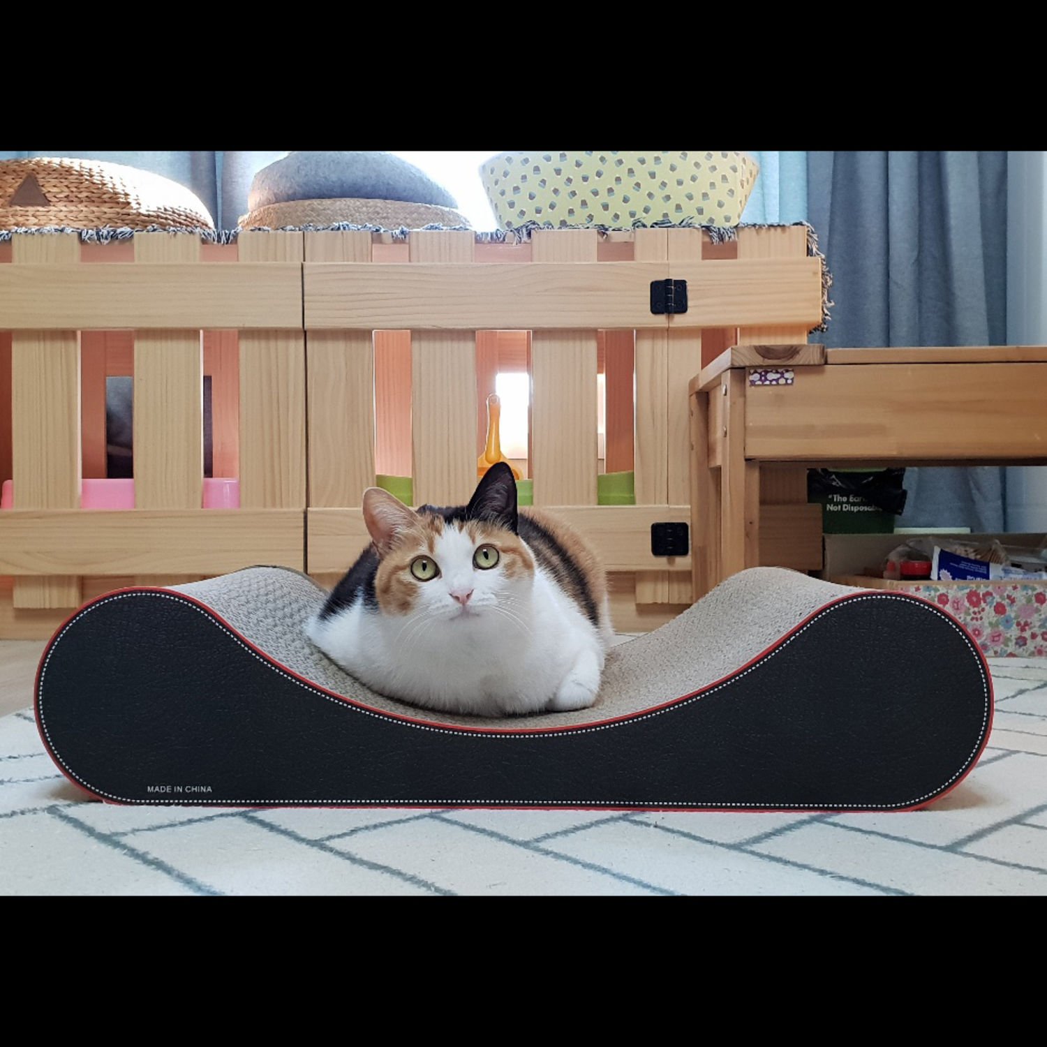 오케이펫코리아 스크래쳐 Pillow 2개 세트