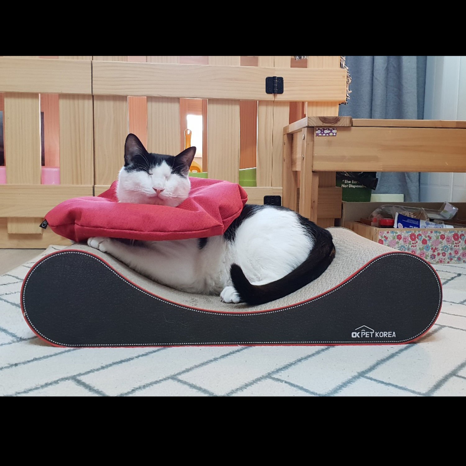 오케이펫코리아 스크래쳐 Pillow 2개 세트