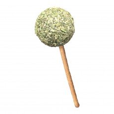 캣완트 캣닢 사탕