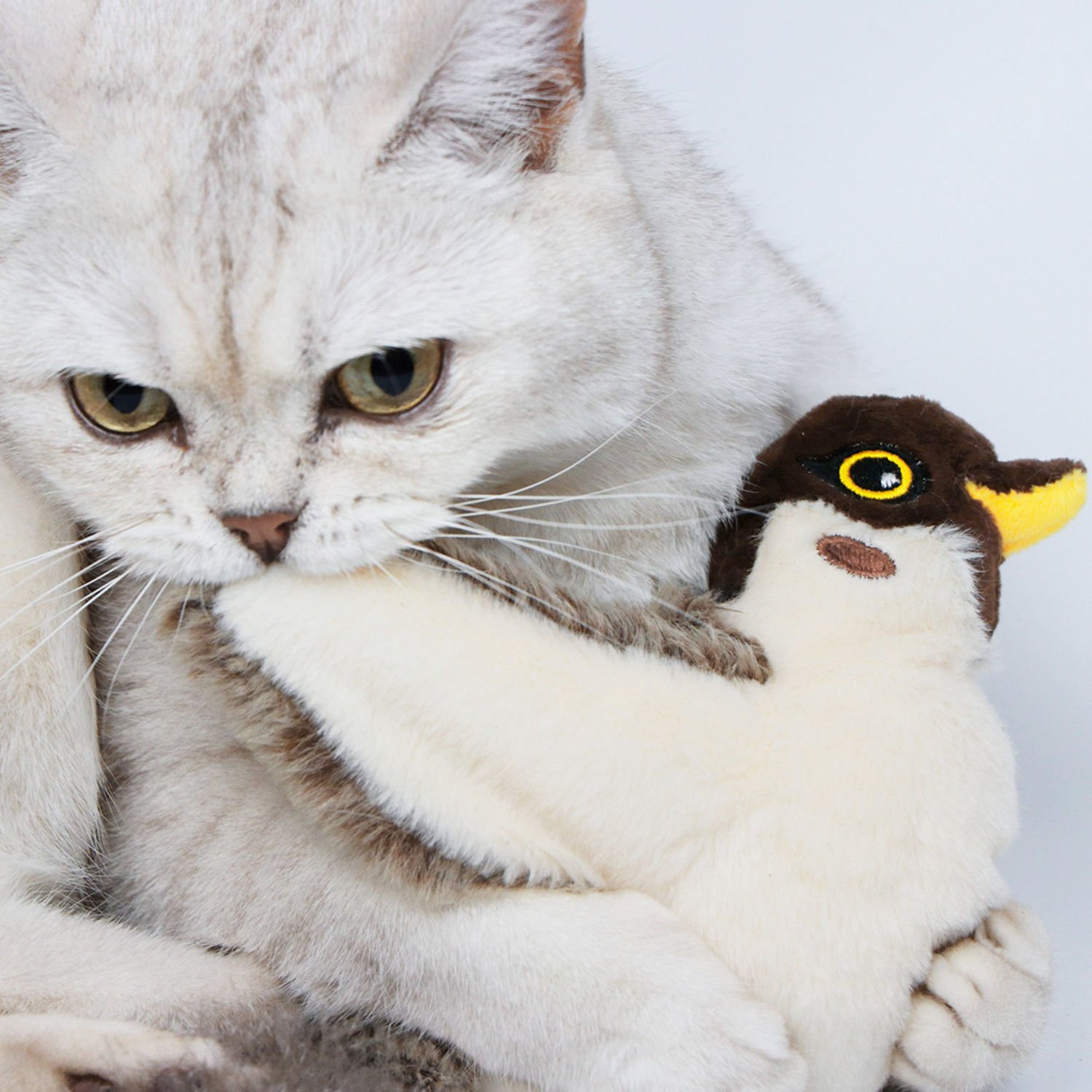 펫케어 춤추는 장난감 새 참새