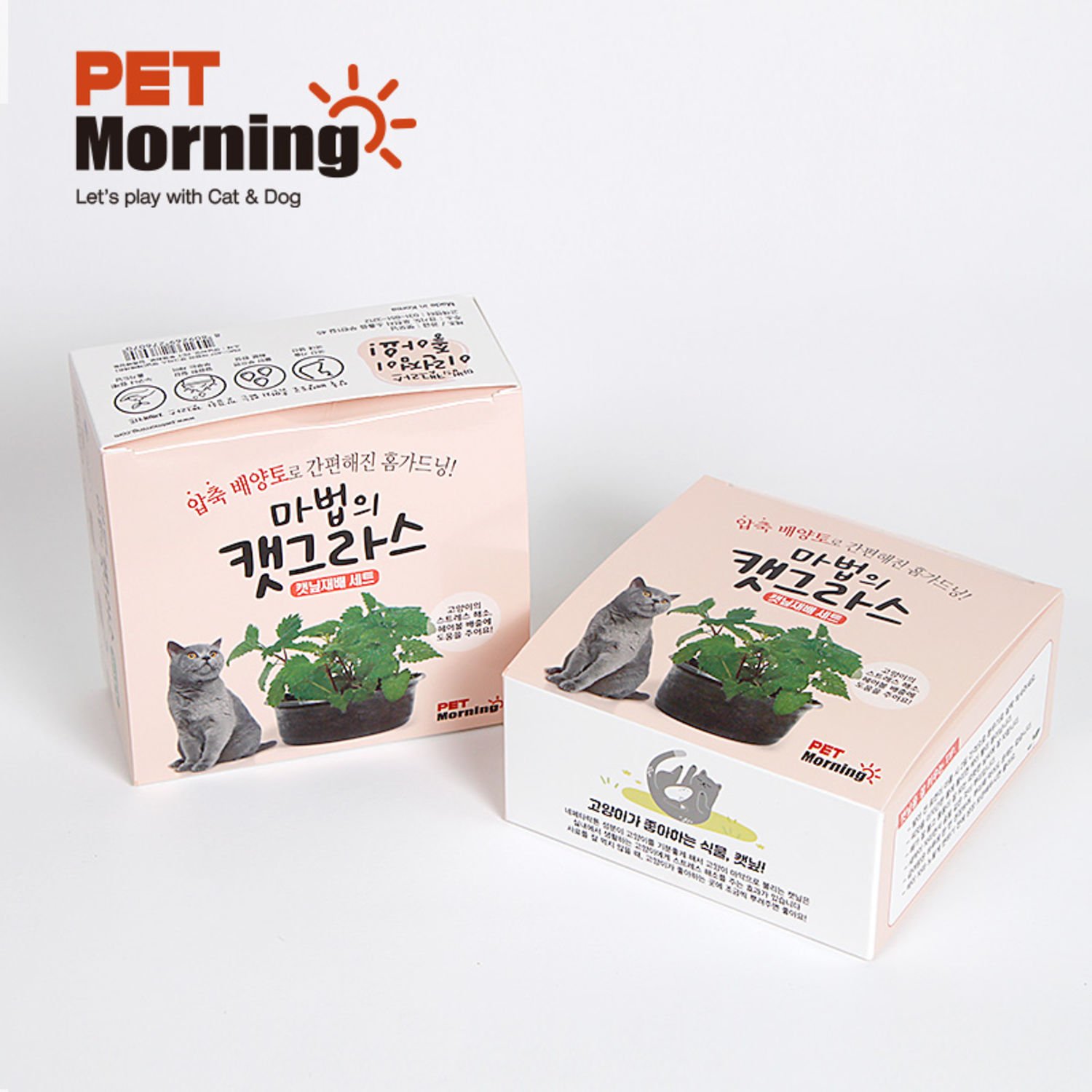 펫모닝 마법의 캣그라스 캣닢 재배세트 투명화분