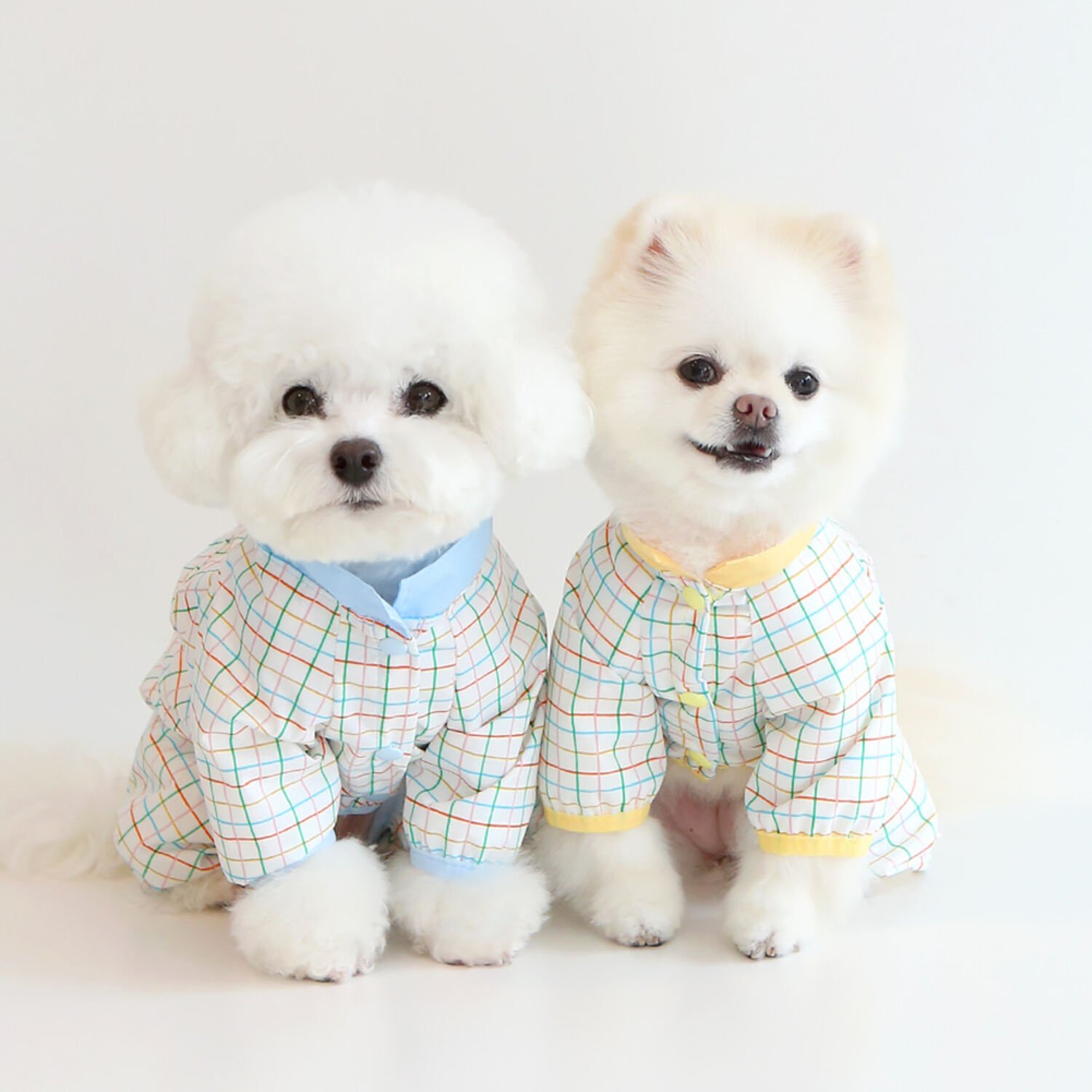 이츠독 젤리곰 판쵸 올인원 우비 블루 S