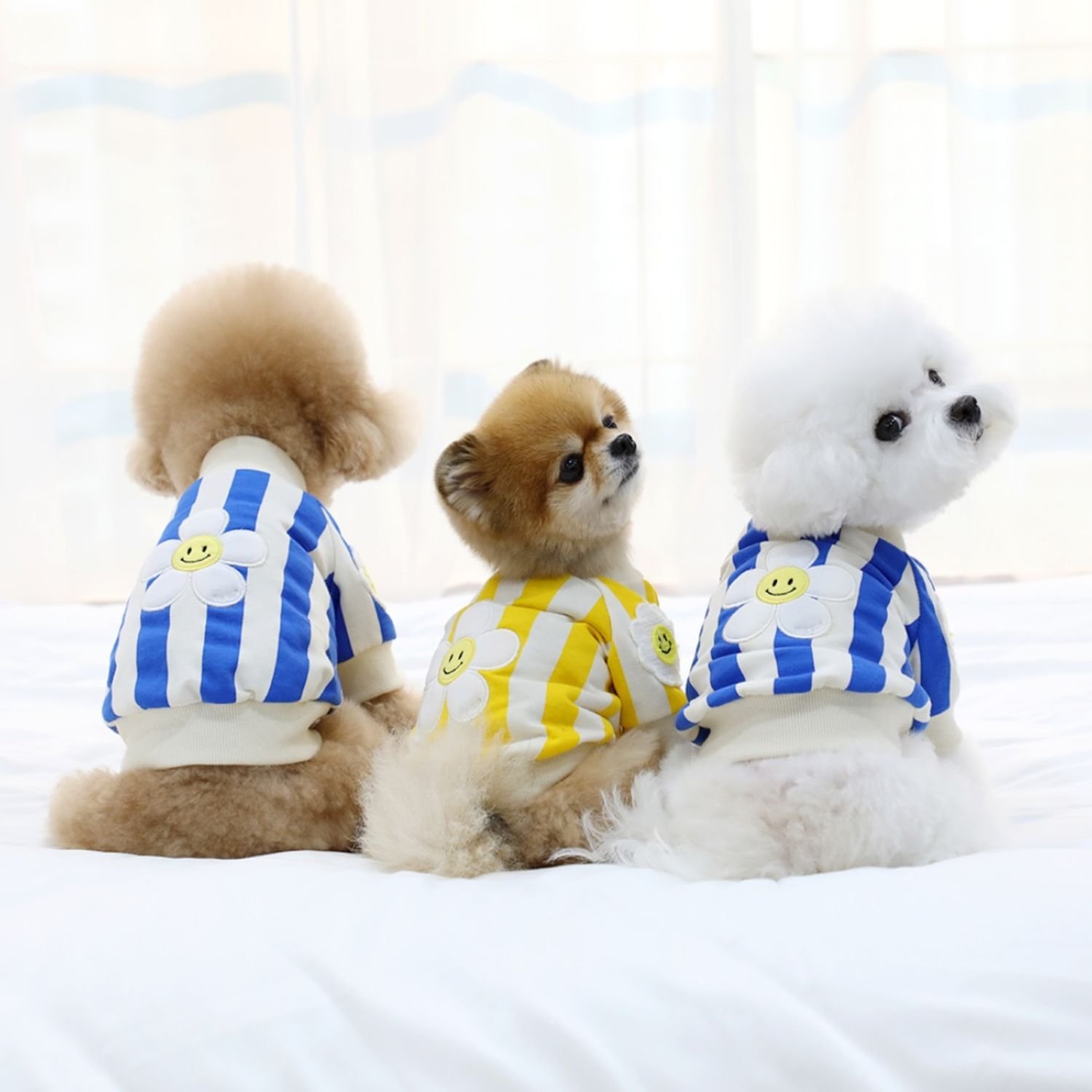 스마일 데이지 크롭 점퍼 옐로우 S